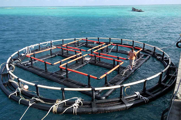 襄阳深海奇迹、水下牧场：探索深海养鱼网箱在水产养殖中的新可能